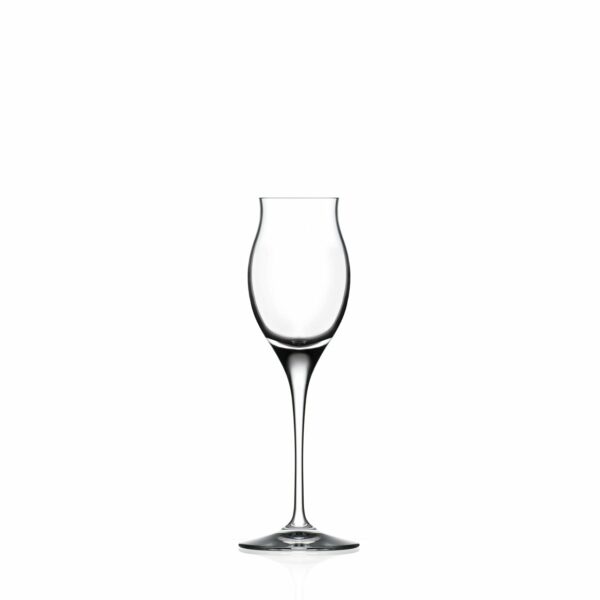 Martini Glass 35 Cl Invino - Set Of 6